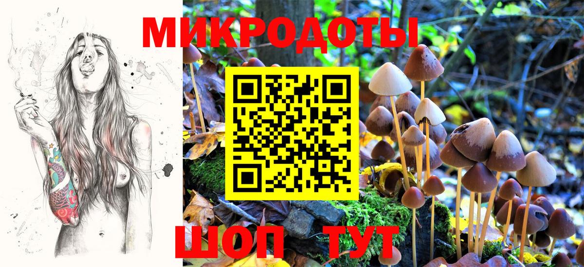 Галлюциногенные грибы Psilocybine cubensis  Псилоцибиновые грибы ЛСД  Вход с VPN  Кубинка 